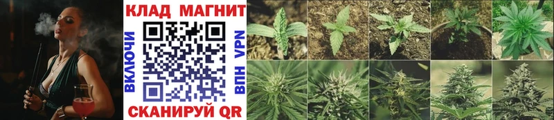Меф Сергач