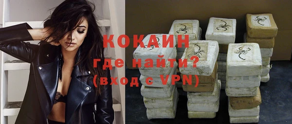 индика Абинск
