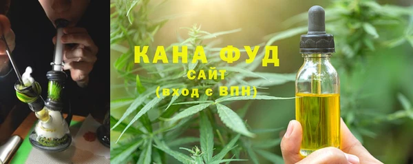 индика Абинск