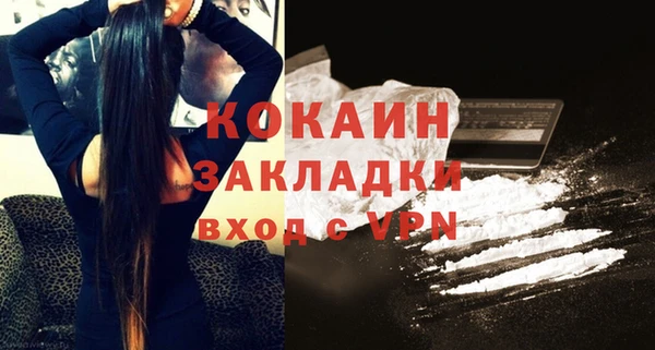 индика Абинск