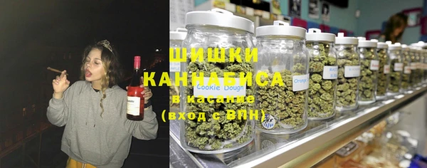 индика Абинск