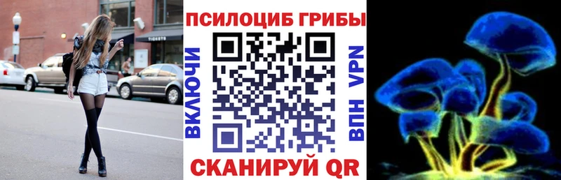 где найти   Сергач  Галлюциногенные грибы мухоморы 